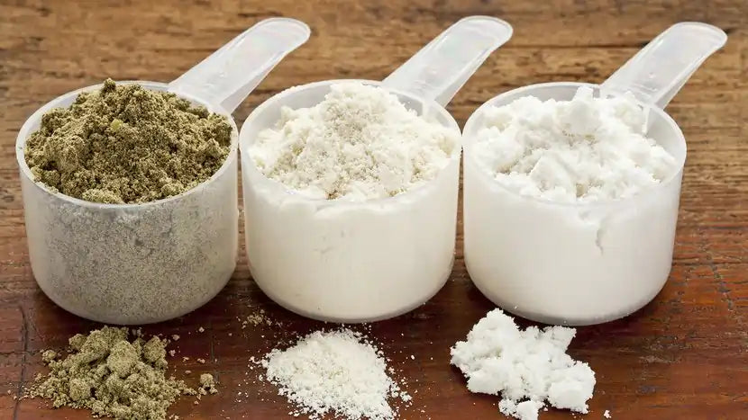 Different Types of Protein Powders and Which is Best For You