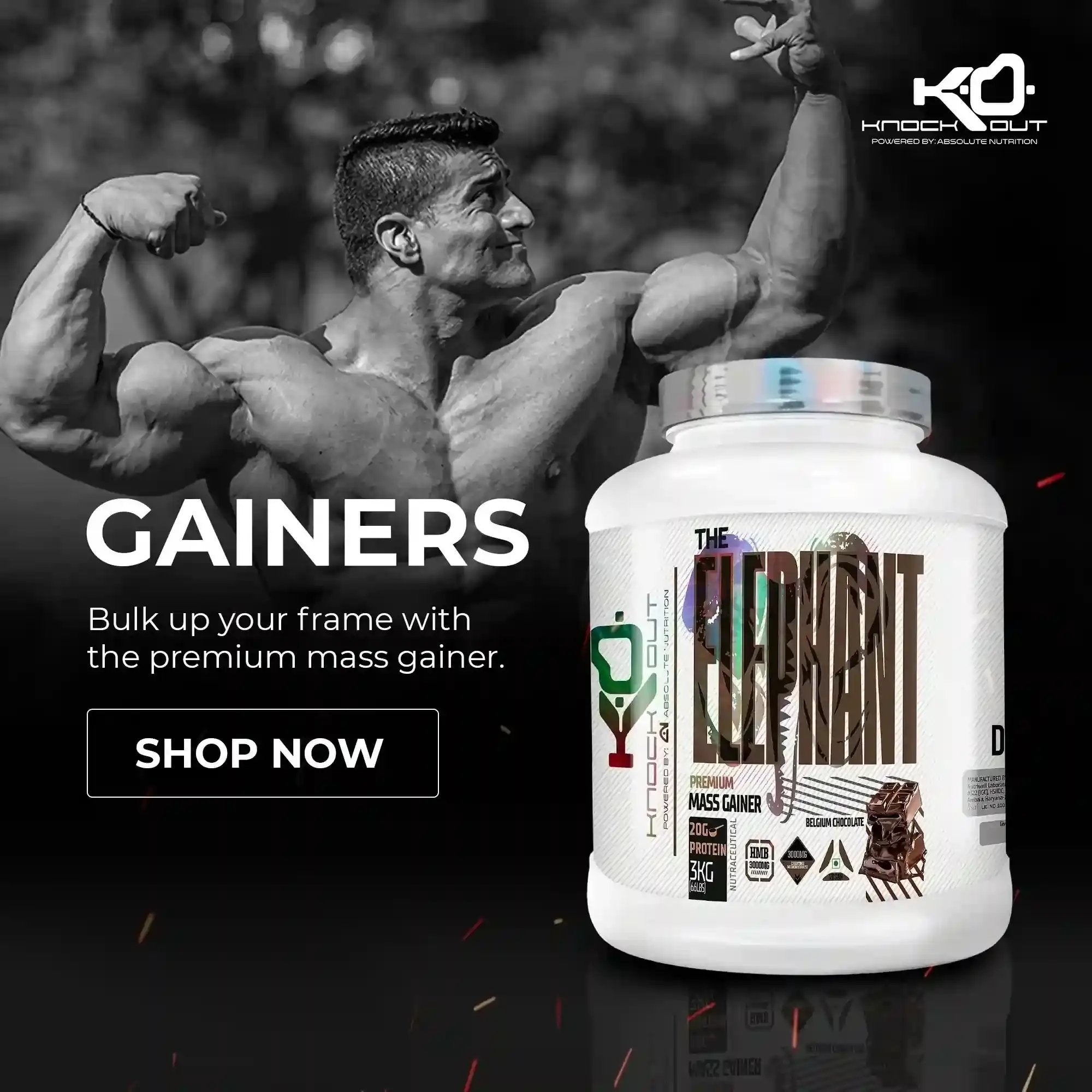 Best Indian Mass gainers by Knockout by Absolute Nutrition