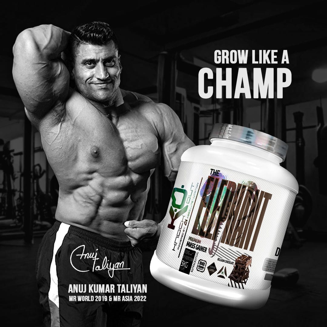 Knockout by Absolute Nutrition, Elephant Mass Gainer (Belgium Chocolate) - knockout by Absolute Nutrition