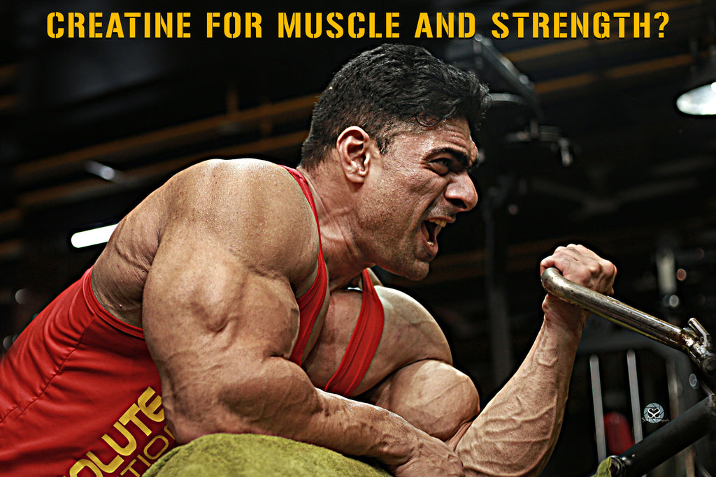 Creatine for Muscle and Strength?