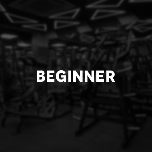 Beginner