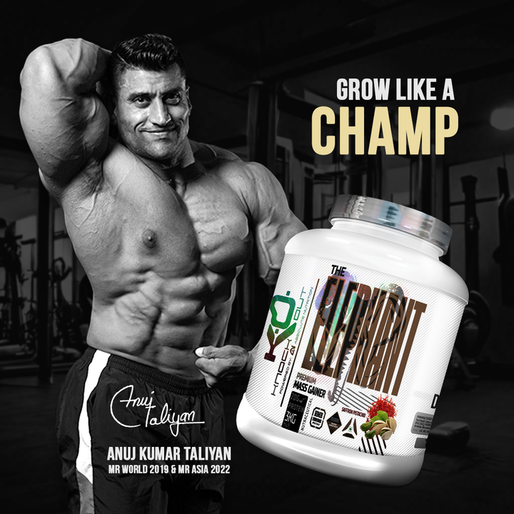 ELEPHANT MASS GAINER - Power Up Your Gains(Saffron Pistachio)