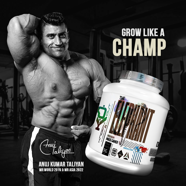 ELEPHANT MASS GAINER - Power Up Your Gains (American Ice Cream)