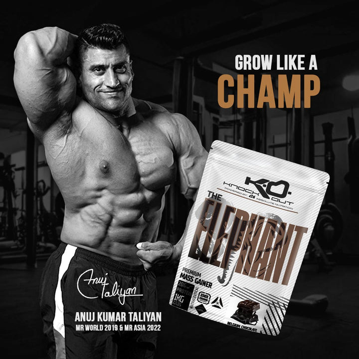 ELEPHANT MASS GAINER - Power Up Your Gains (Belgium Chocolate)