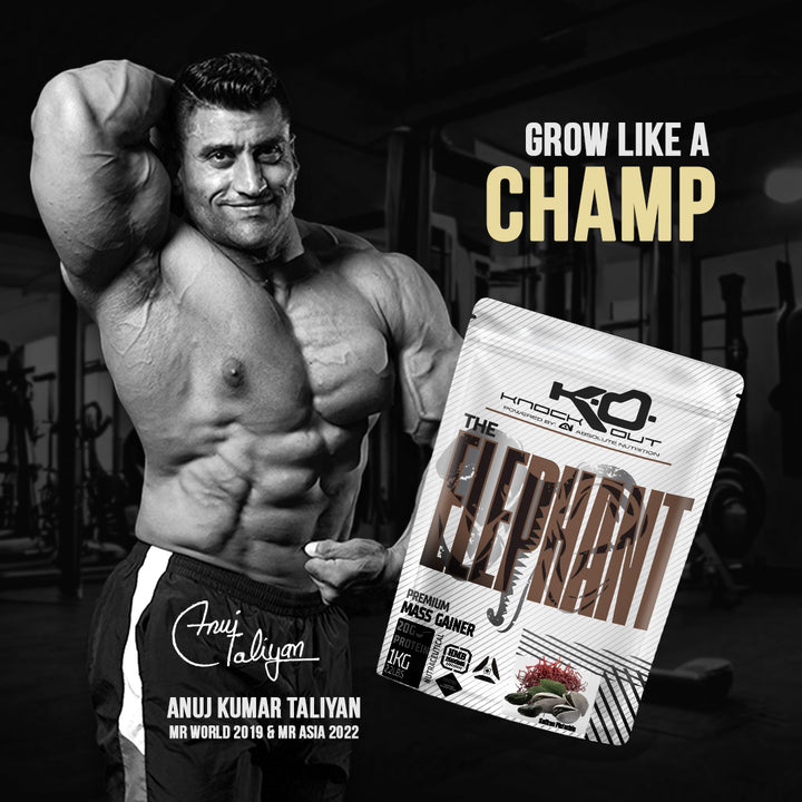 ELEPHANT MASS GAINER - Power Up Your Gains(Saffron Pistachio)