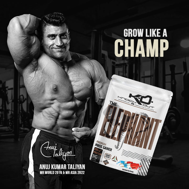 ELEPHANT MASS GAINER - Power Up Your Gains (American Ice Cream)